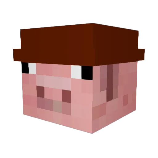 opatbuck Minecraft avatar head, 3D render
