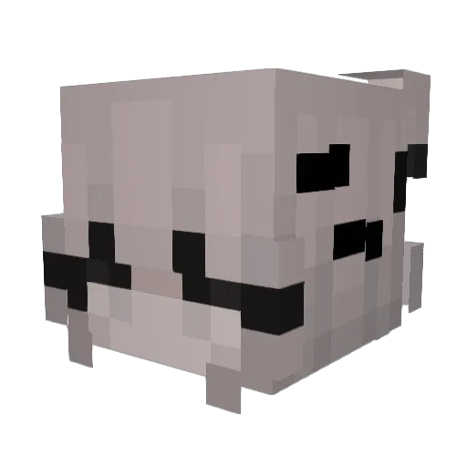 opaug Minecraft avatar head, 3D render