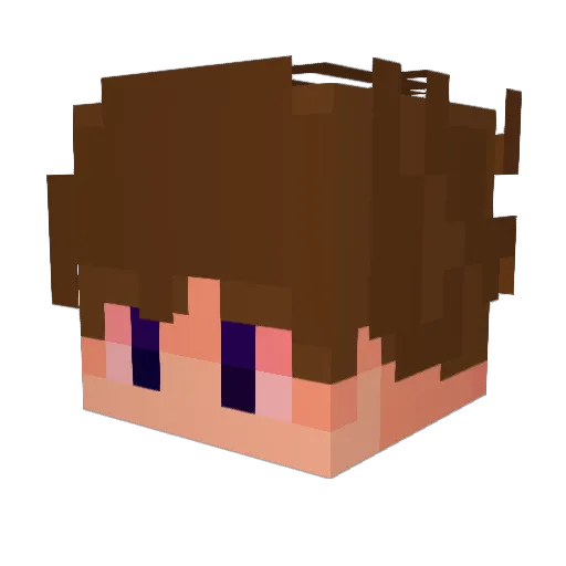 operatorowenn Minecraft avatar head, 3D render