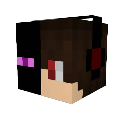 opetci Minecraft avatar head, 3D render