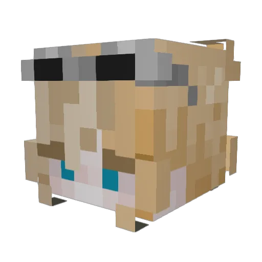 ophiwi Minecraft avatar head, 3D render