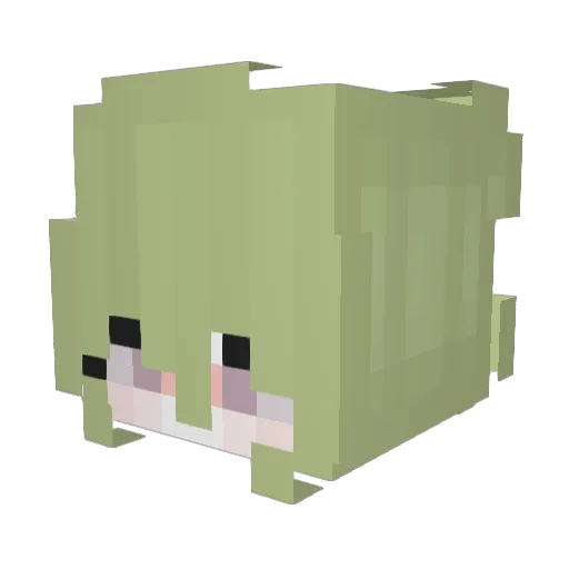 opiagitbasimdan Minecraft avatar head, 3D render