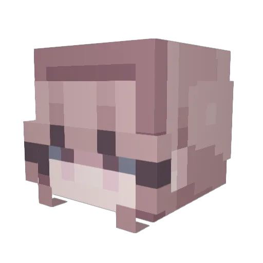 opmdragon Minecraft avatar head, 3D render
