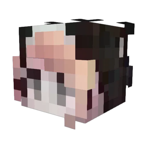 opoo0 Minecraft avatar head, 3D render