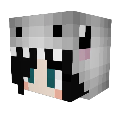 oporra Minecraft avatar head, 3D render