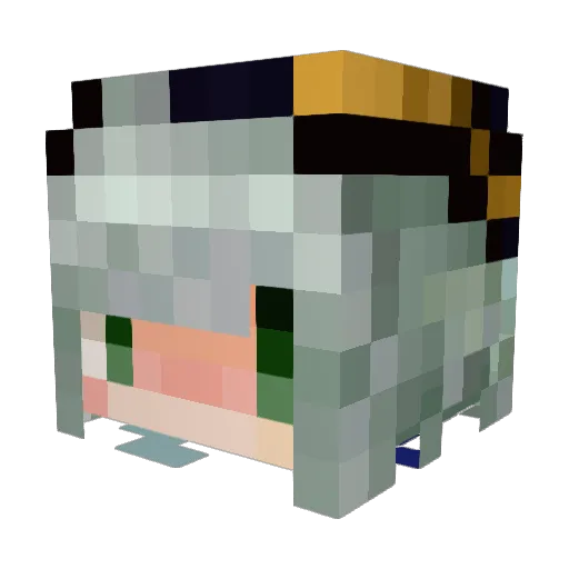 opossum8 Minecraft avatar head, 3D render