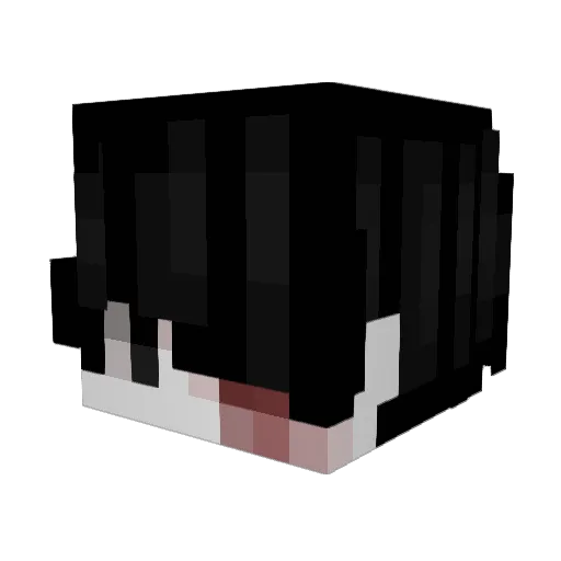oppression0408 Minecraft avatar head, 3D render