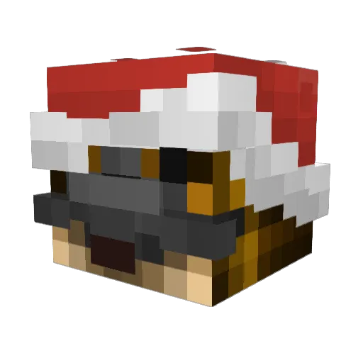oppyusa1 Minecraft avatar head, 3D render