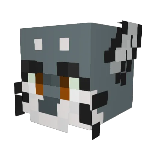 optimus_slime02 Minecraft avatar head, 3D render