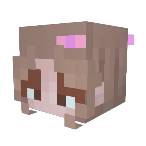 optimusupreme Minecraft avatar head, 3D render