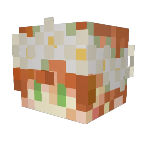 opuspopus Minecraft avatar head, 3D render