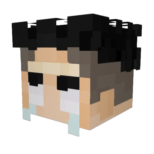 or6a2 Minecraft avatar head, 3D render