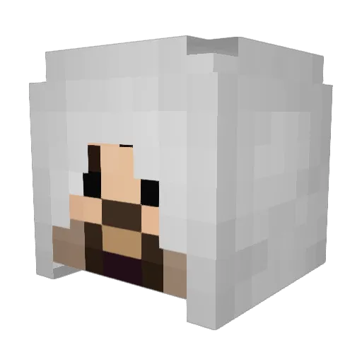oracle35 Minecraft avatar head, 3D render