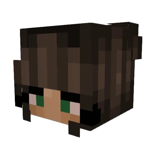 oracnimsaj Minecraft avatar head, 3D render