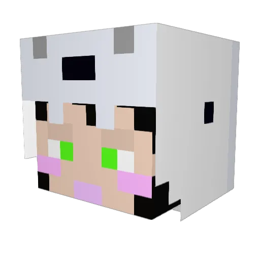 orange000000 Minecraft avatar head, 3D render