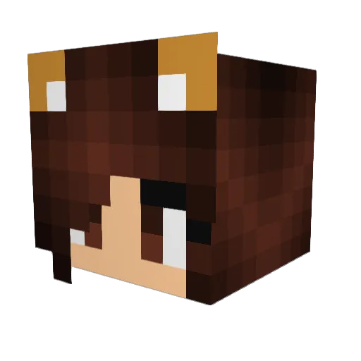 orangecaat Minecraft avatar head, 3D render
