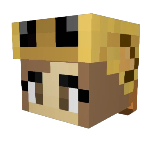 orangegiraffe02 Minecraft avatar head, 3D render