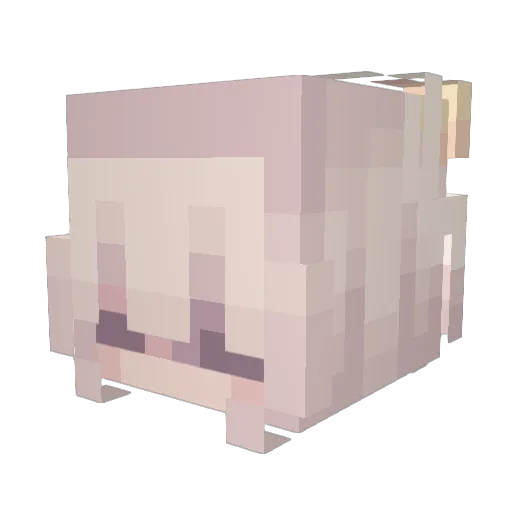 orangeiceuwu69 Minecraft avatar head, 3D render