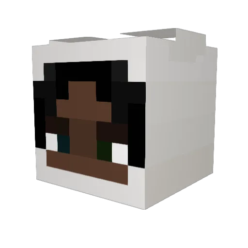 orangejuuce Minecraft avatar head, 3D render