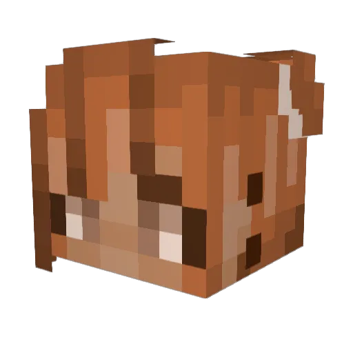 orangepastaa Minecraft avatar head, 3D render