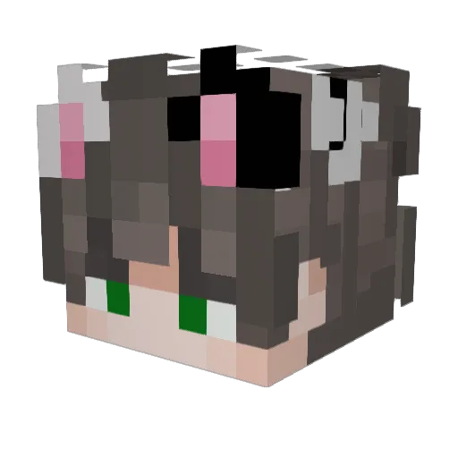 orangeslices5430 Minecraft avatar head, 3D render