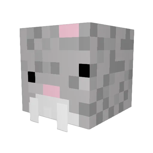 oranj Minecraft avatar head, 3D render