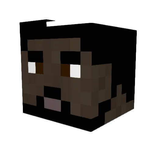 oranjules Minecraft avatar head, 3D render