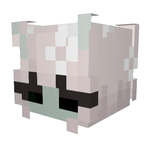 orbela Minecraft avatar head, 3D render