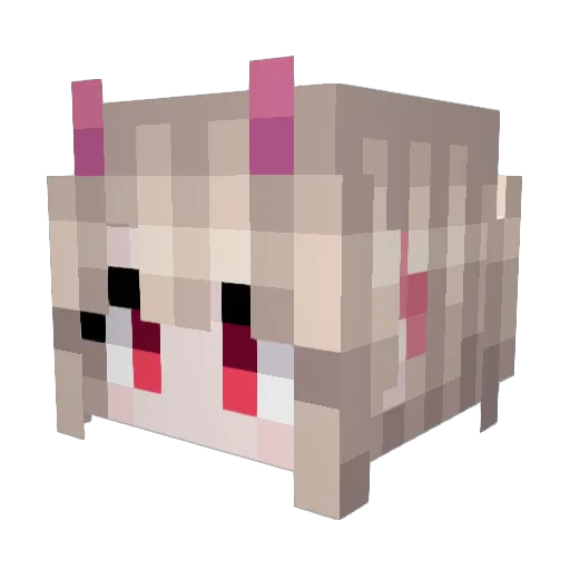 orca1341 Minecraft avatar head, 3D render