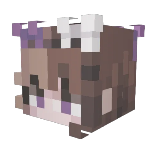 orchidplu Minecraft avatar head, 3D render