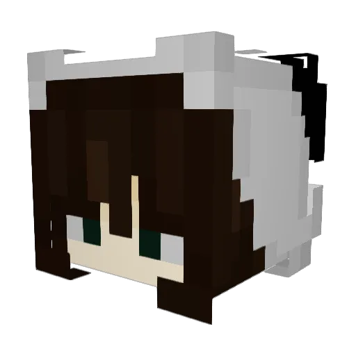 orchiixd Minecraft avatar head, 3D render