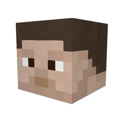 ordolibbee Minecraft avatar head, 3D render