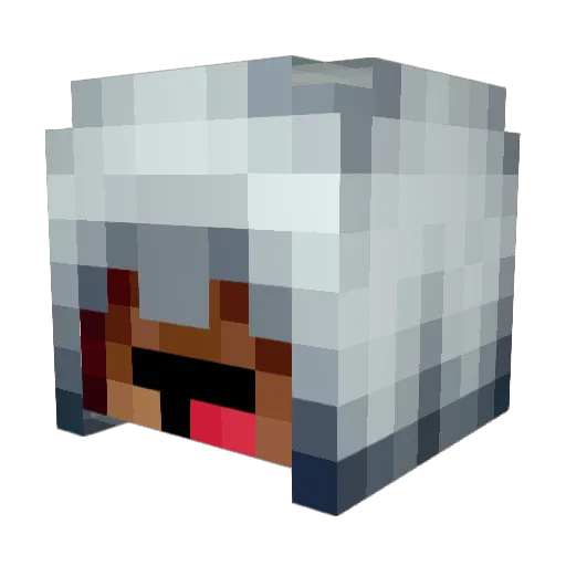oreo2853 Minecraft avatar head, 3D render