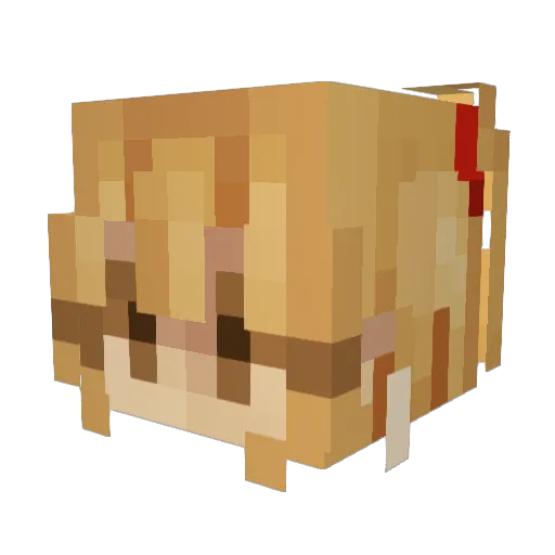 orewaJustin Minecraft avatar head, 3D render