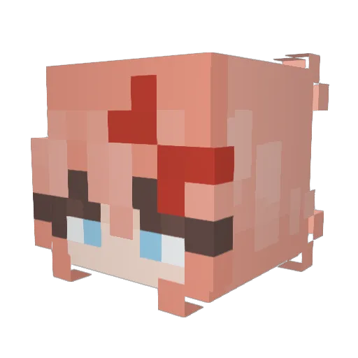org4n_spaghetti Minecraft avatar head, 3D render
