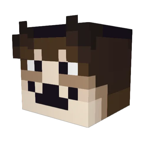 organic_pine Minecraft avatar head, 3D render