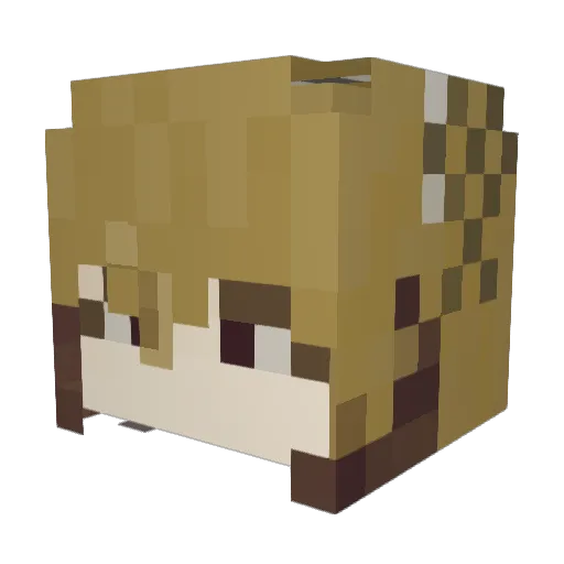 originb Minecraft avatar head, 3D render