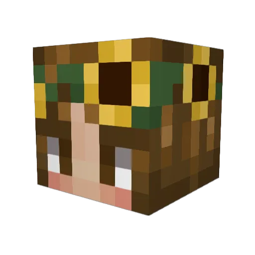 orion_1108 Minecraft avatar head, 3D render