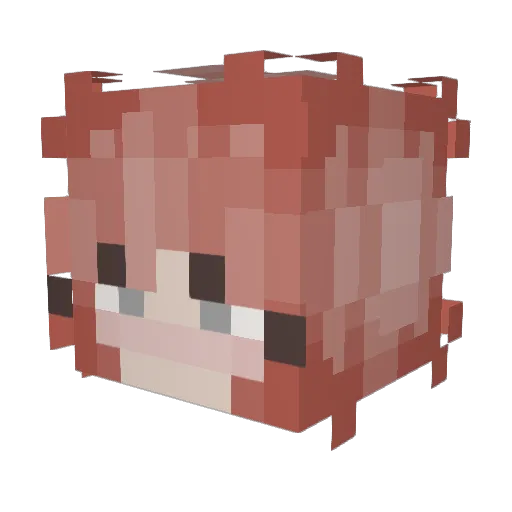 orionjuno Minecraft avatar head, 3D render