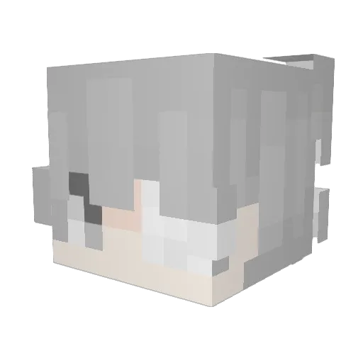 orizon199 Minecraft avatar head, 3D render