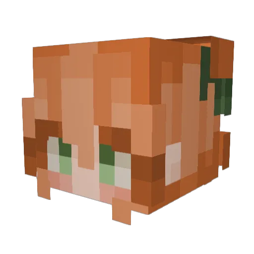 ornateorange Minecraft avatar head, 3D render