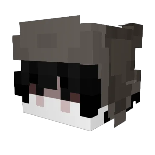 orororororororo Minecraft avatar head, 3D render