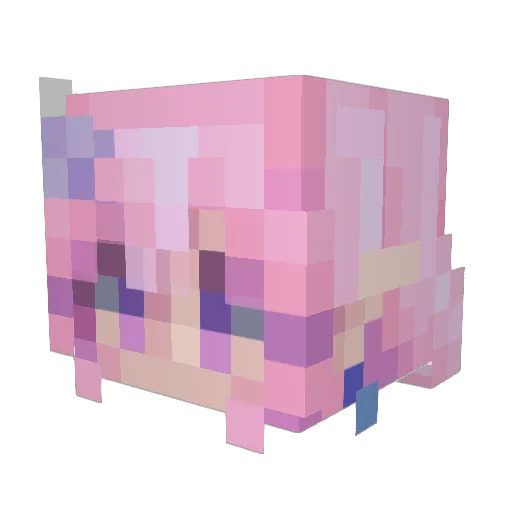 orphicle Minecraft avatar head, 3D render