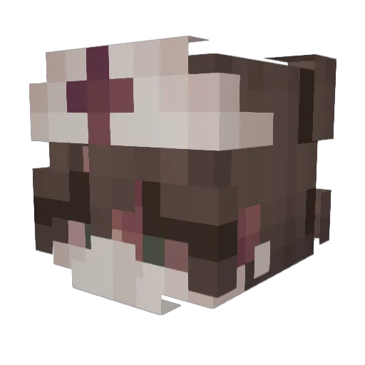 orphiiic Minecraft avatar head, 3D render