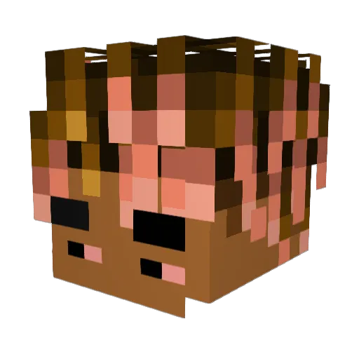 orunky Minecraft avatar head, 3D render