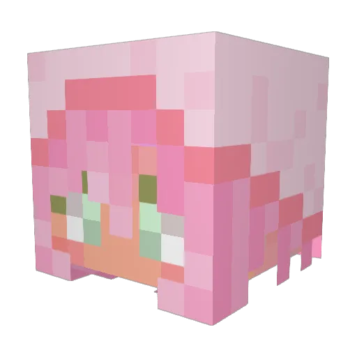 orupemi Minecraft avatar head, 3D render