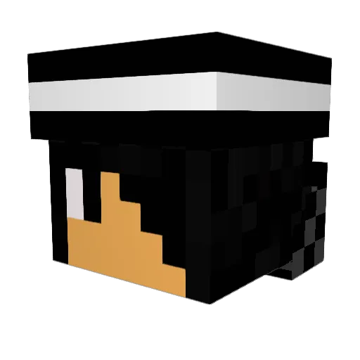 oryo85691 Minecraft avatar head, 3D render
