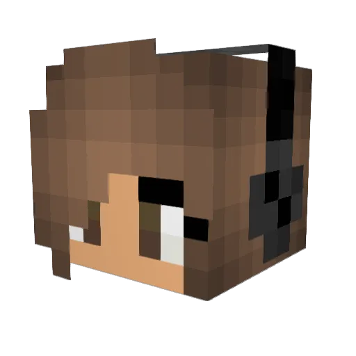 osnalite Minecraft avatar head, 3D render