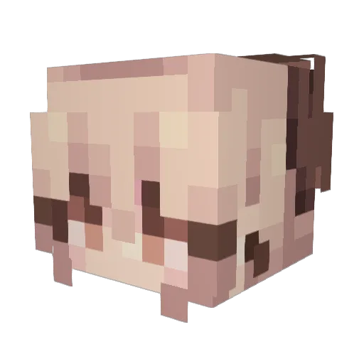 osnapitzkimmy Minecraft avatar head, 3D render