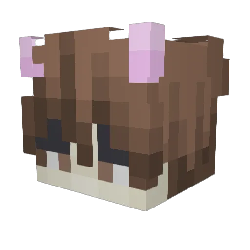 osquuin Minecraft avatar head, 3D render